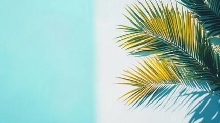 Fototapeta premium Palm leaves against a turquoise sky and white wall, in pastel minimalism.