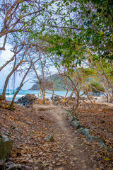 Scenic Pathway Leading to Sapzurro Beach, Choco, Colombia Surrounded by Lush Greenery