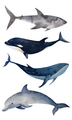 Sea and ocean life watercolor set 