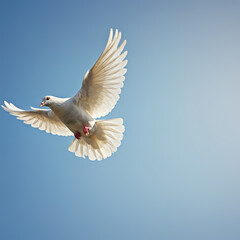 Fototapeta premium Graceful white dove soaring with open wings against a clear blue sky, symbolizing peace, freedom, and spiritual harmony