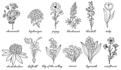Set with vector linear flowers. Illustration for decoration, covers, logo design