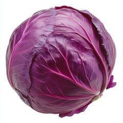 Obraz premium Purple Cabbage Head Isolated On White Background