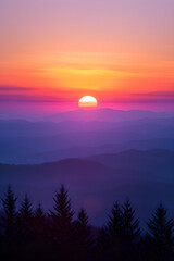 Obraz premium Golden Sunset Horizon with Silhouetted Trees and Mountains: Nature's Tranquil Farewell