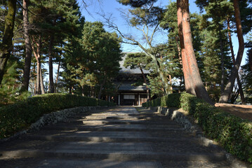 Fototapeta premium 相国寺 松に囲まれる法堂【重要文化財】