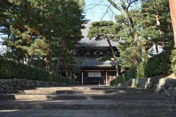 相国寺　松に囲まれる法堂【重要文化財】