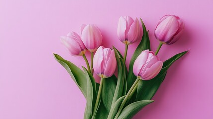 Naklejka premium A sophisticated floral arrangement featuring pink tulips, arranged elegantly on a modern pink backdrop.