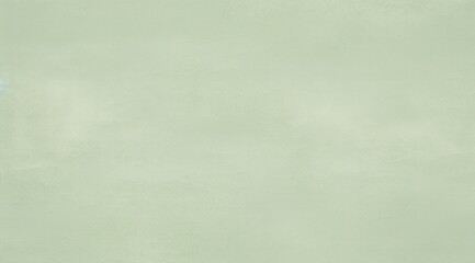 Light green background with texture. Backdrop for portraits, and product photography