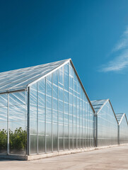 Fototapeta premium Modern glass greenhouses under a bright blue sky.