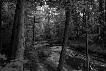 Dried up falls in the Cuyahoga National Park midsummer