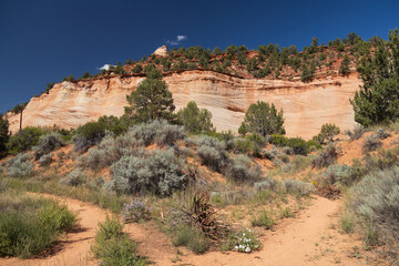 Sandstone rock formations, Kanab, Utah, USA
