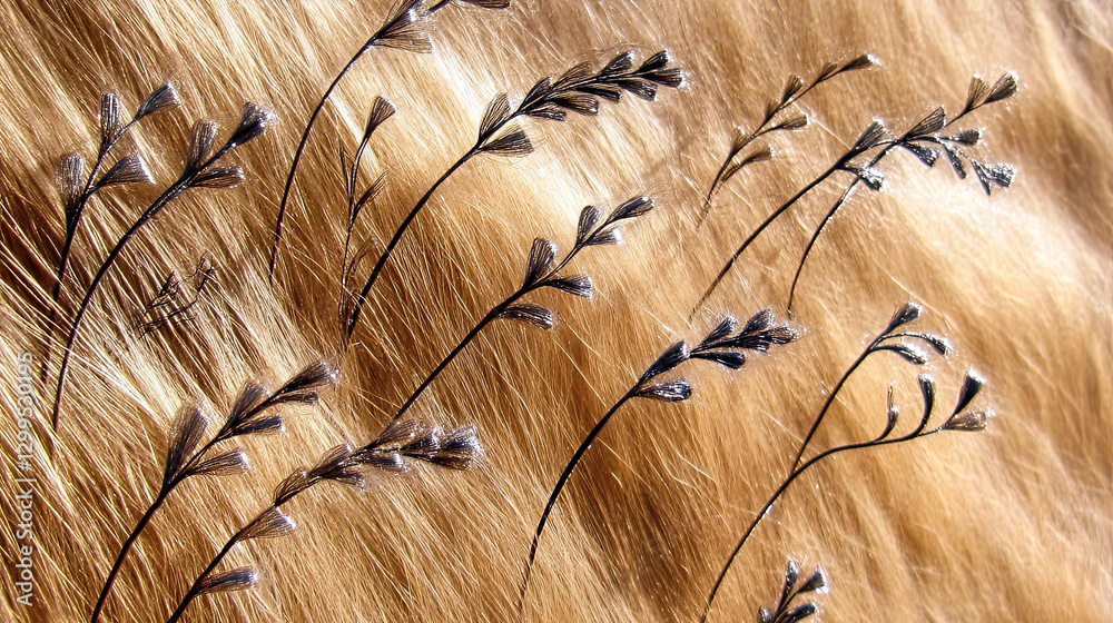 Poster graceful corn silk strands create a minimalistic texture of softness and beauty