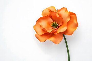 Naklejka premium High-Quality Floral Photography Highlighting Natural Beauty and Elegance AI Art Portrait In Clean Background