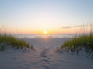 Sunrise Over the Ocean Through Sand Dunes