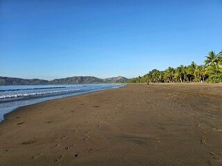 Dark sand tropical beach on sunny day