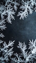 Delicate white icy frost patterns surround a dark background space