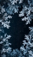 Obraz premium Frosty white pine branches frame a dark blue night sky