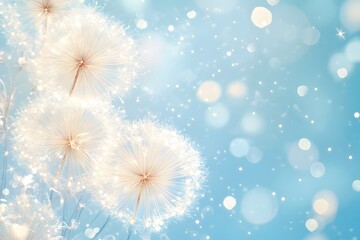 Dreamy Dandelion Flowers Floating on Soft Bokeh Background