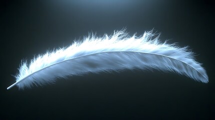 Obraz premium Floating White Feather Dark Background Soft Light Airy Minimalist Photography