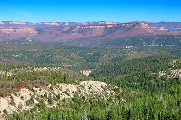 Lava Point at Zion National Park