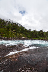Serenity of Nature: A Glimpse into the Untamed Landscape with Rushing Water and Majestic Pine Trees Beneath a Dramatic Sky Filled with Clouds and Hints of Blue