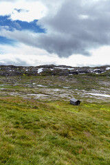 A Serene Landscape Featuring an Isolated Cabin Against a Backdrop of Rolling Hills and Dramatic Clouds Overhead