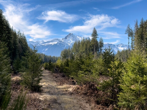 Snowcapped Cascade mountains during winter season with evergreen trees and walking path