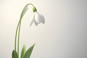 Fototapeta premium Photorealistic Wildflowers Captured in Stunning Detail AI Art Isolated In Clean Background