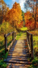 Naklejka premium autumnal wooden bridge in colorful forest