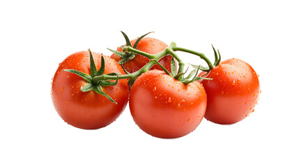 Fresh Red Tomatoes on the Vine, Juicy Ripe Vegetables, Food Photography