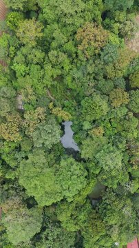 Ecocentro Danaus in Costa Rica near La Fortuna. Forest and jungle area. Drone aerial view.