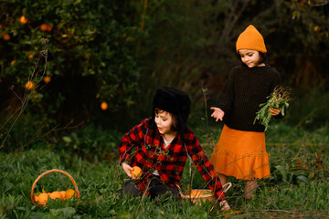 Children harvesting oranges in a lush green garden setting