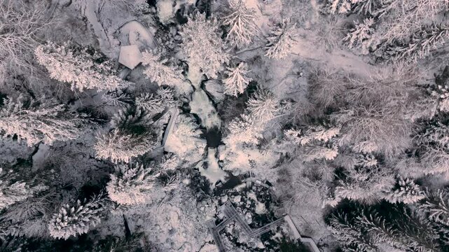 Triberg Winter: Drone's Eye View of Forest, River and Frozen Falls