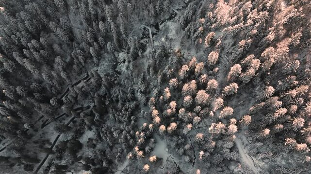 Triberg's Frozen Heart: An Overhead Drone Journey Through Winter
