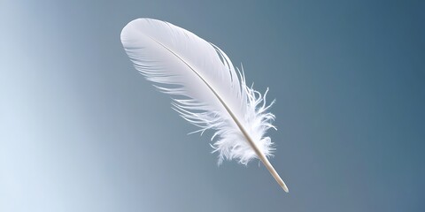 Fototapeta premium White Feather Floating Gracefully Against a Soft Gradient Background, Symbolizing Lightness, Purity, Freedom, and Elegance in Minimalist Concept 
