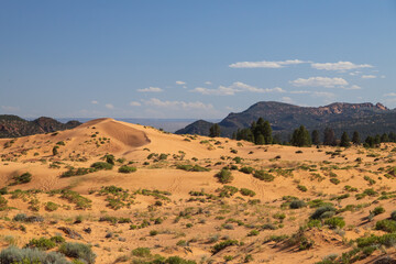 Coral Pink Sand Dunes state park, Utah