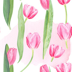 Tulip flowers watercolor seamless pattern on pink watercolor background. Hand painted pink flowers. High quality art perfect for mother's day cards, wrapping paper, posters, perfume, packaging, decor © Ekaterina