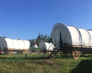 covered wagons