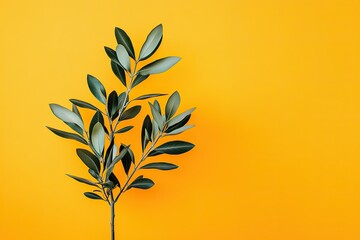 Olive branches symbolizing peace and hope on vibrant yellow background for easter