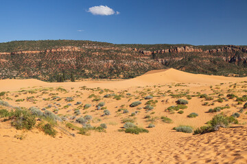 Coral Pink Sand Dunes state park, Utah