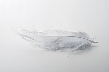 Realistic Beach Items AI Art Isolated In Clean Background