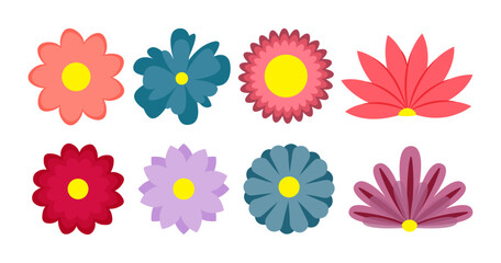 colorful and different types of flowers set, vector illustration