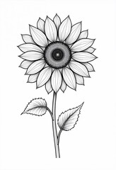 Fototapeta premium Minimalist sunflower illustration in black and white line art