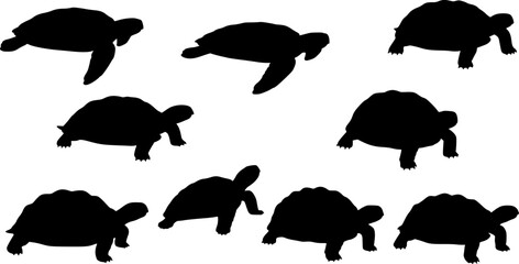 Obraz premium turtles in different poses silhouette set vector 