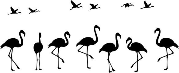 Obraz premium flamingo silhouette set on white background vector 