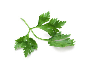 Fototapeta premium Sprig of fresh parsley isolated on white