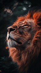 Naklejka premium Majestic lion resting, savanna, nightfall, wildlife