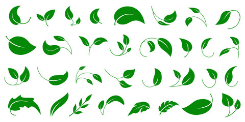 Green leaf icon set element design