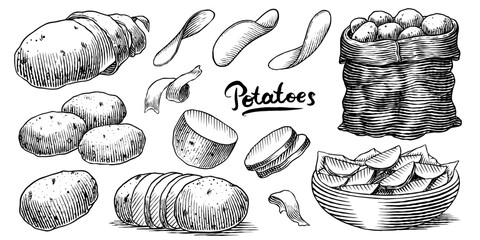 Potatoes and plant hand drawn. Collection of vegetables and chips in a dish and full sack of fresh food. Spud or pratie engraved pieces. Murphy in groups ready to eat