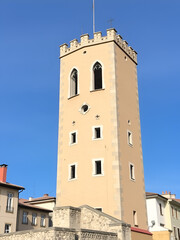 Fototapeta premium Sanglier