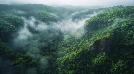 Obraz premium A cinematic aerial view over the remote Bosavi Crater, capturing the thick jungle canopy covering the ancient volcanic walls. Mist rolls through the lush vegetation, giving a lost-world atmosphere.